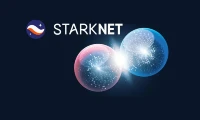 Starknet: what it is, the token's 'value,' and the price predictions