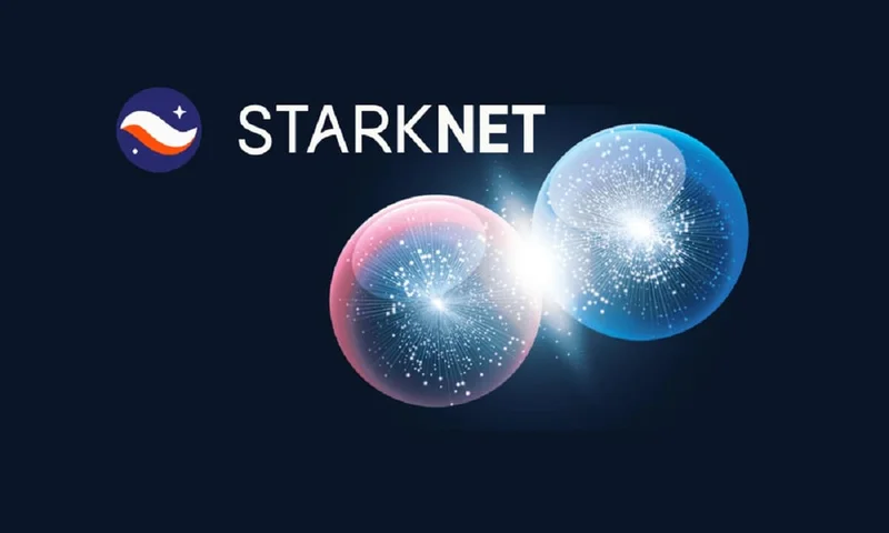 Starknet: what it is, the token's 'value,' and the price predictions